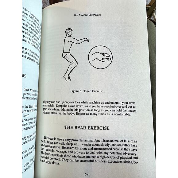 The Complete System of Self-Healing: Internal Exercises - Picture 4 of 9